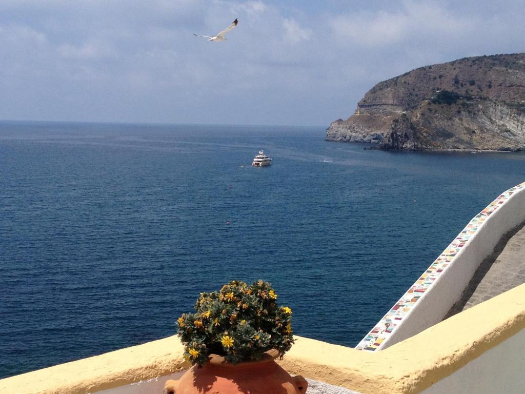 Appartamenti Casa Del Sole Sant'Angelo  외부 사진
